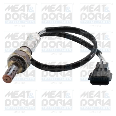 Oxygen Sensor